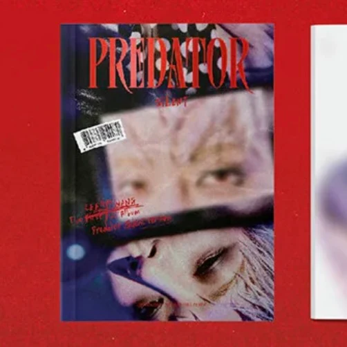 Thumbnail 13